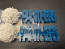 Laser Acrylic Team Earrings with Beaded Dome Post Panthers